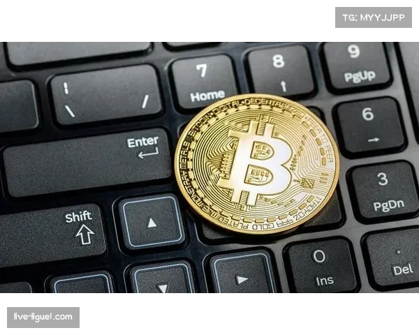 法甲联盟与加密货币平台签署新赛季袖标广告赞助协议 法甲联盟与加密货币平台签署新赛季袖标广告赞助协议